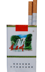 黄果树香烟与贵州软件开发的特色发展路径